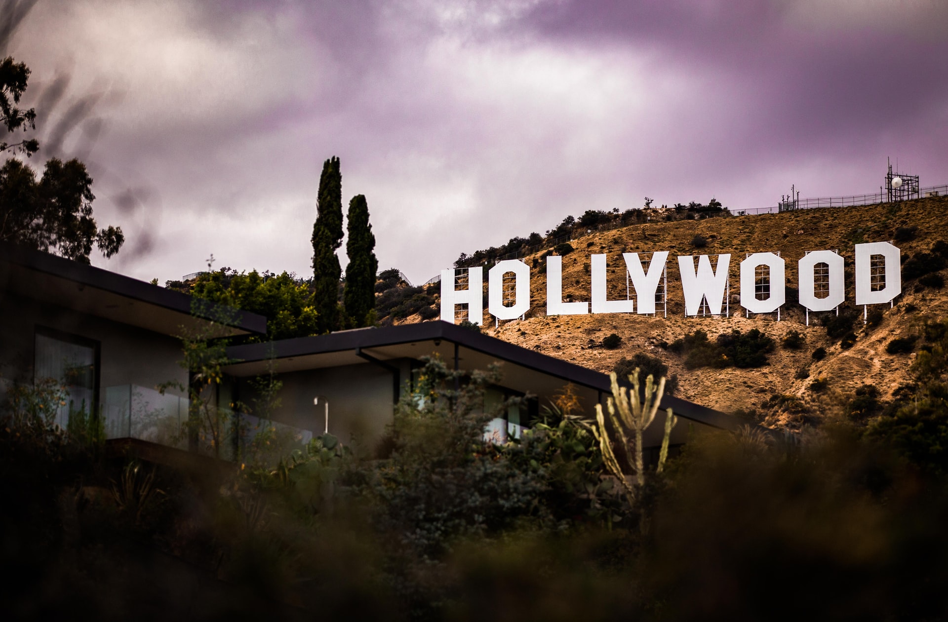 Why Indians are taking over Hollywood - theentertainment.vision